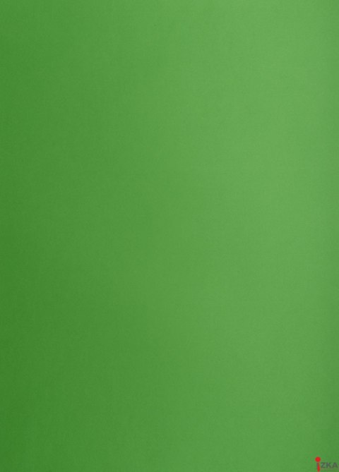 Karton kolorowy Oxford B1 225g 25ark nr.68 zielony 400150268 TOP-2000