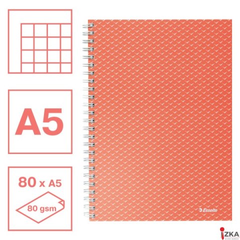 Kołonotatnik ColourBreeze A5, w kratkę, koralowy Esselte 628468 Kołonotatnik ColourBreeze A5, w kratkę, koralowy Esselte 628468