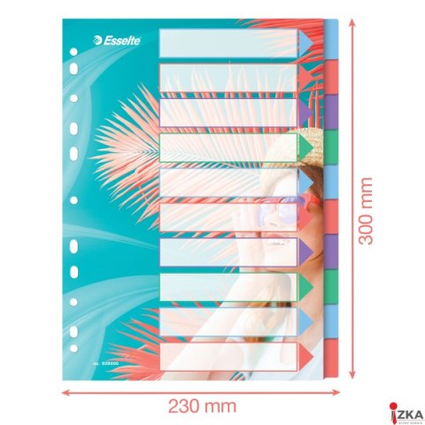 Przekładki Colour Breeze PP A4, 10 przekładek Esselte 628500 Przekładki Colour Breeze PP A4, 10 przekładek Esselte 628500