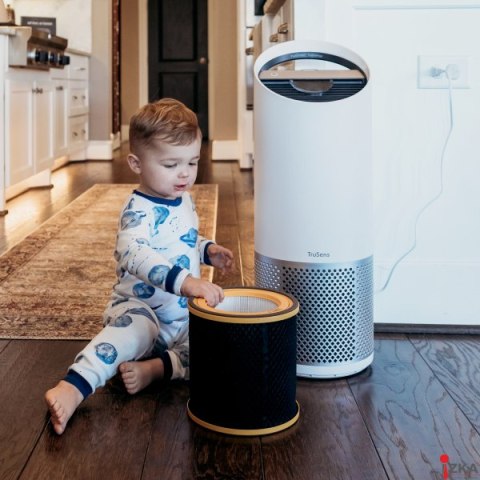 Wymienny węglowy filtr zapachów Leitz TruSens Z-3000 2415126