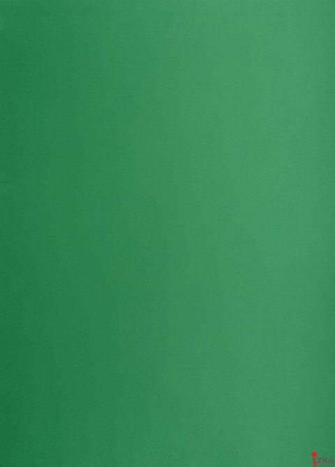 Karton kolorowy Creatinio A1 160g 25ark nr.63M c.zielony 400149561 TOP-2000