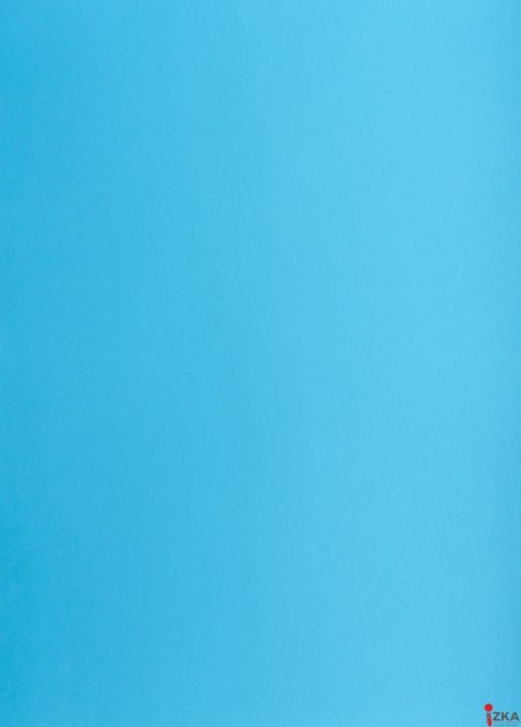 Karton kolorowy Creatinio A1 160g 25ark nr.77P jasnoniebieski 400149565 TOP-2000