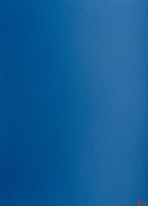 Karton kolorowy Creatinio A1 160g 25ark nr.79 granatowy 400149567 TOP-2000 SALE