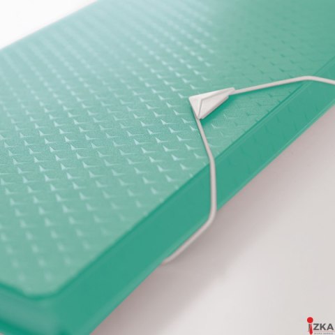 Teczka z przegródkami Esselte ColourBreeze, 6 przegródek, zielony 626253